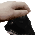 frankpat