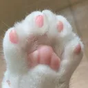 catbeans Discord Emoji