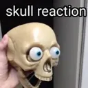 skullreaction skullreaction