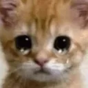 ueueuesoundofcrying