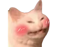 Blushcat blushCat Discord Emoji