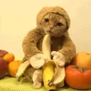 cute