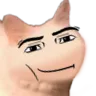 cat_manly cat_manly