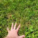 touchgrass