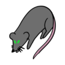 Rodent