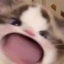 waaaaa