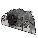PonchoBongo