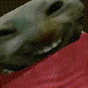 xddwankge
