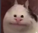bruh