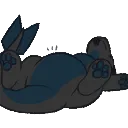 Salemflop