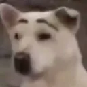 hm