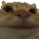 hw_catno hw_catno