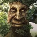 wisemysticaltree wisemysticaltree