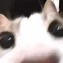 wuh