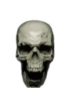 skull
