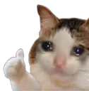 Sad_Cat_Thumbs_Up Sad_Cat_Thumbs_Up