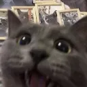 D_