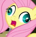 FluttyBoo