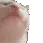 catJAM