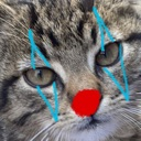catClown Discord emoji