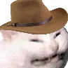 CattoCowboy Discord Emoji