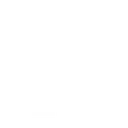 w5