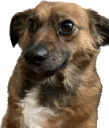 wot Discord emoji