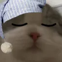 sleepcat