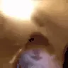 lol