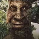 WiseMysticalTree