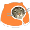 blobztcozy blobztcozy