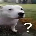 huh