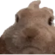 VIBEOFF