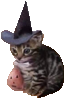 0_spookycat Discord emoji