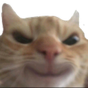 cattoevil Discord emoji