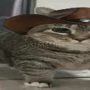 catboy2