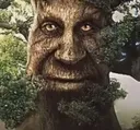 treewut