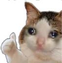 catthumbs