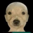 balddog Discord emoji