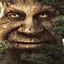 mysticaltree