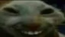 xdd