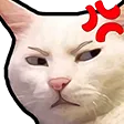 angrycat