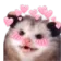 possum
