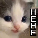 hehe