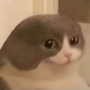 hehe custom emote | ۶ৎ　‿　cemetery　 ݁ 　˖