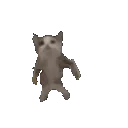 kittycat_dance