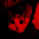 demonicfuckingcat