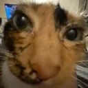 what