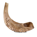 shofar Discord Emoji - Jewish Community