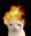 KOS_catexplosion Discord Emoji